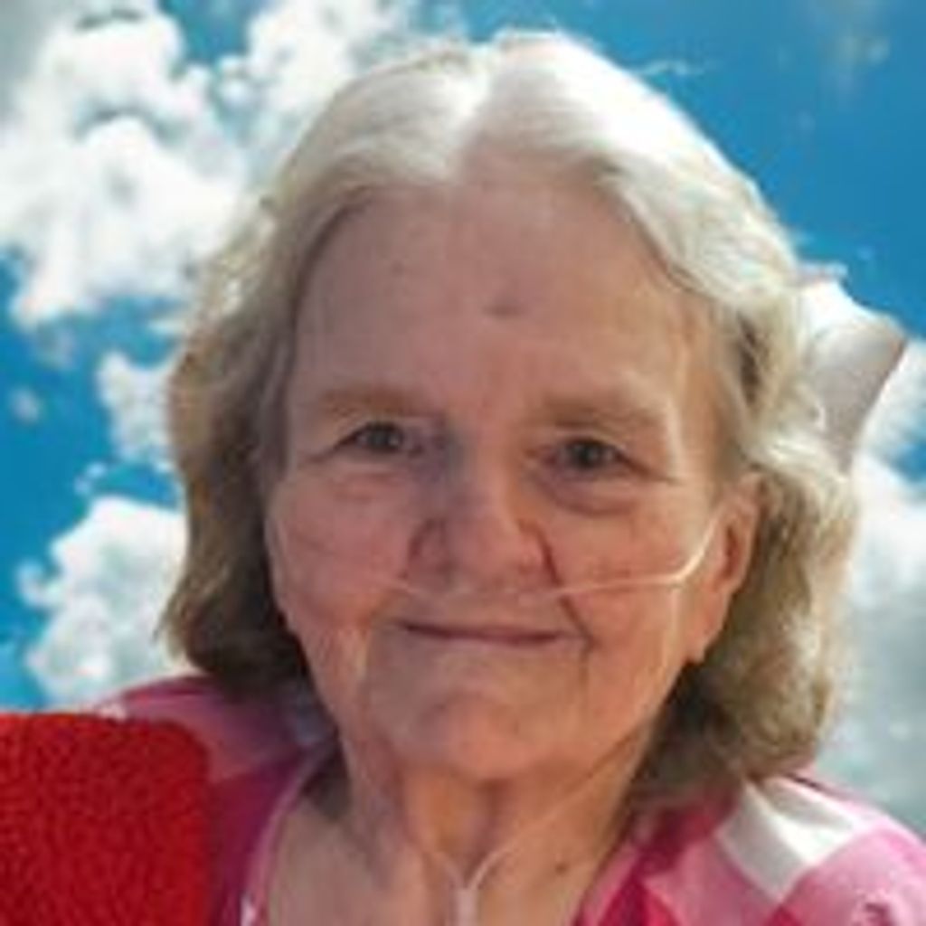 Jeannine Mccormack Profile Photo