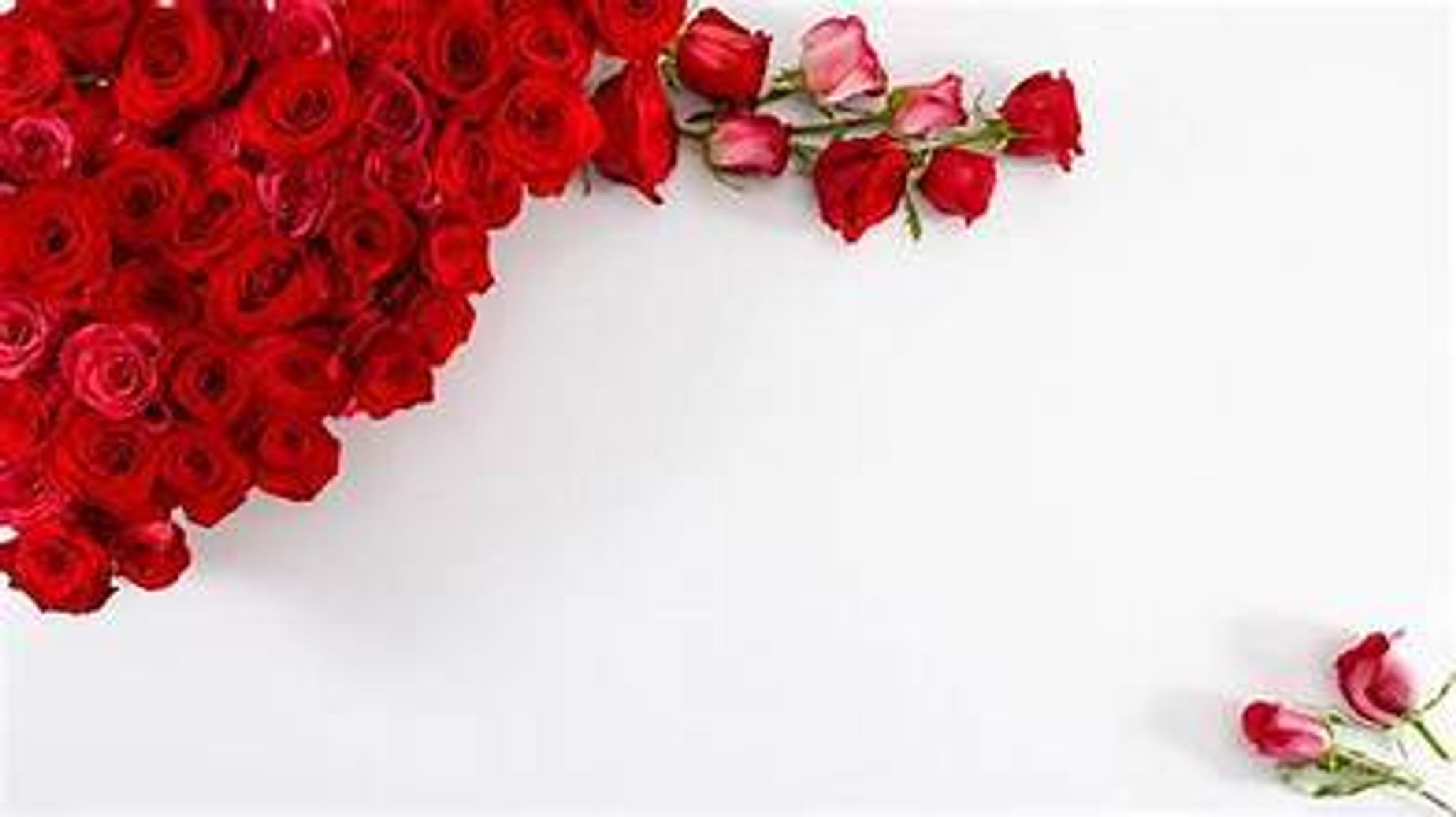 Cover for Ms. Tina Renee Marine's Obituary