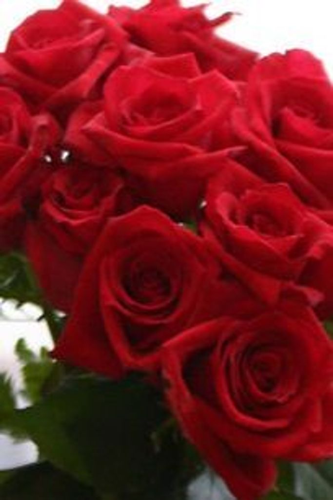 Shannon Lamont Cochran