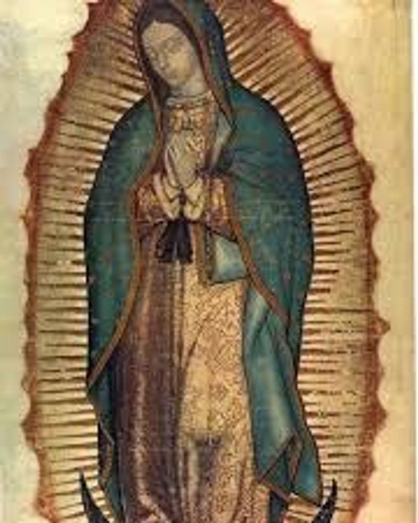 Delia Garcia