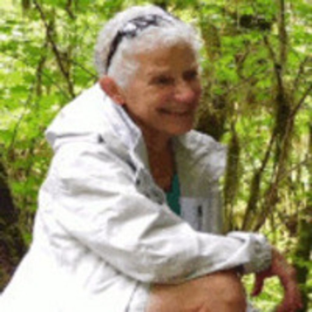 Sherrie Rice