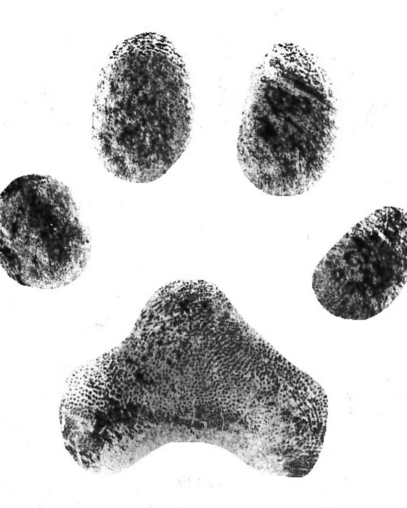 Lexi Schultze Profile Photo