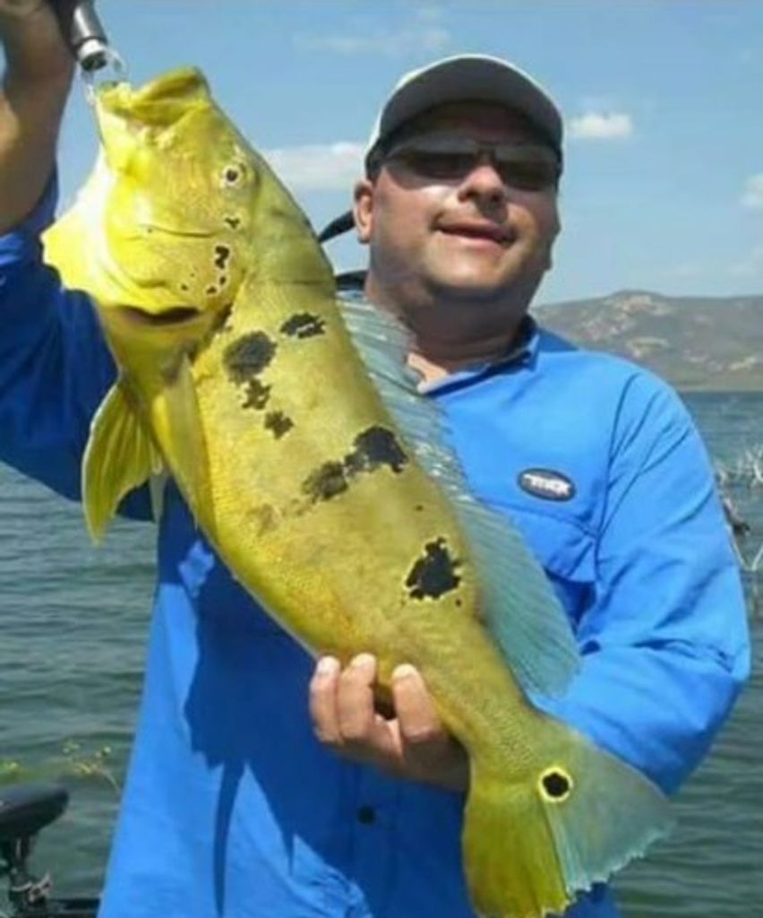 Nilo Sergio Monteiro Vitorino