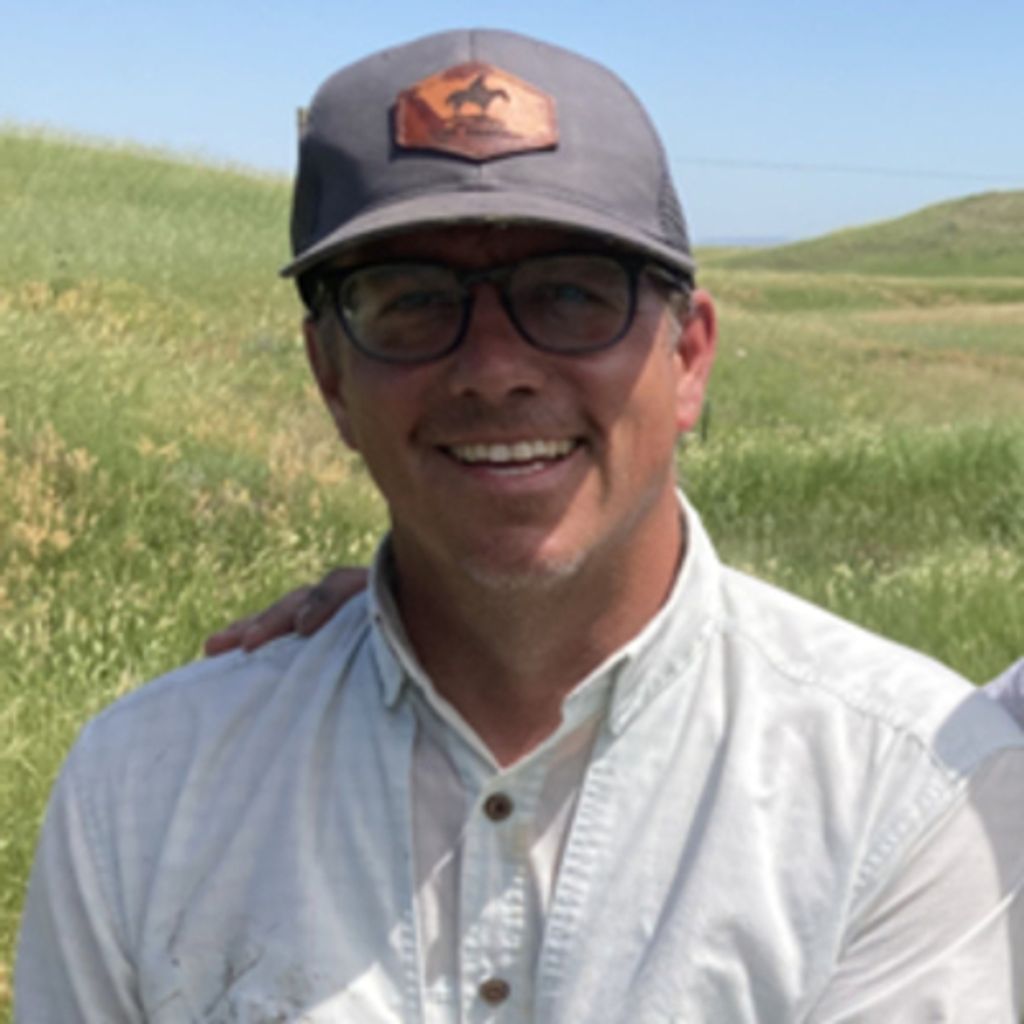 Mitch D. Faulkner Profile Photo