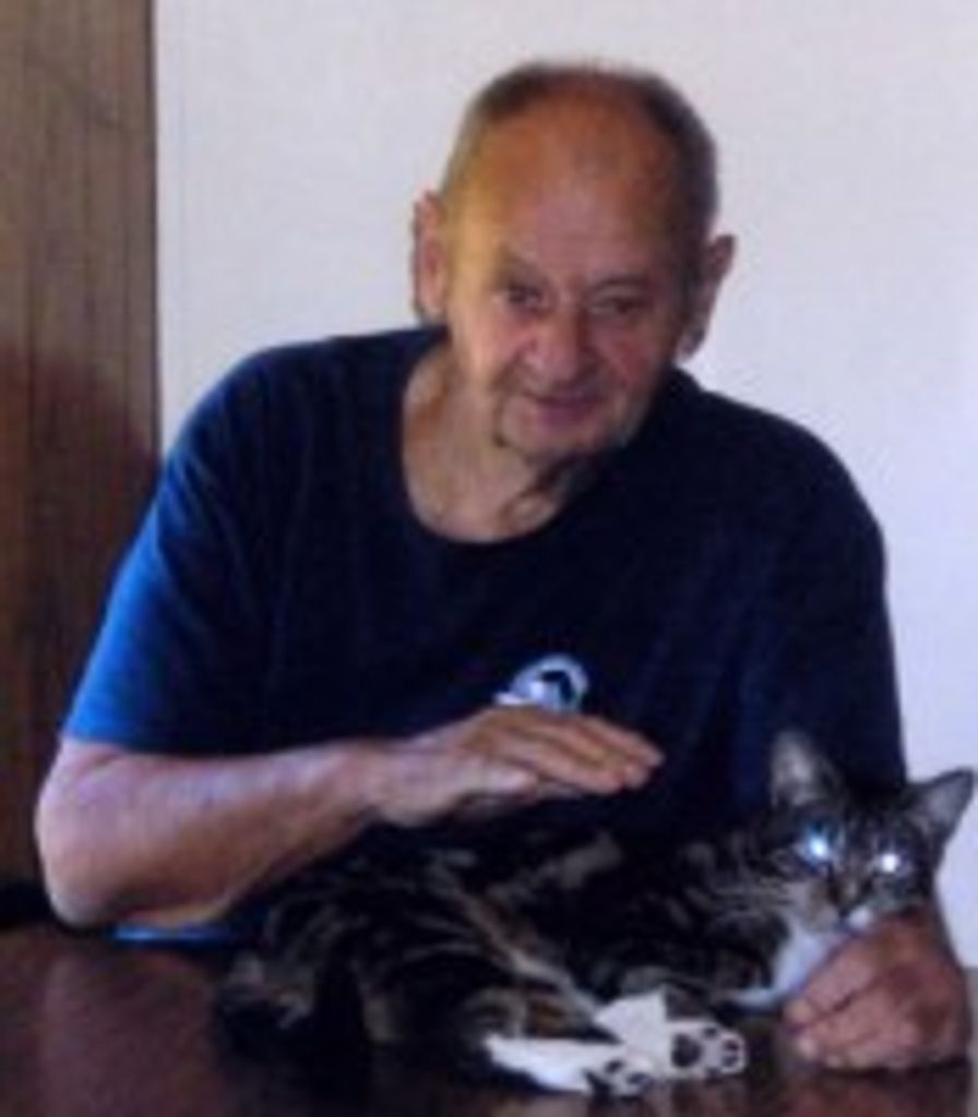 Mr.  Vincent  Carlisle,, 74  Jr.
