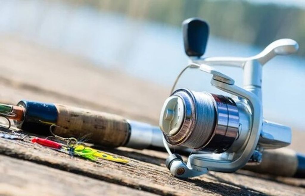 Mary F. Rediger Profile Photo