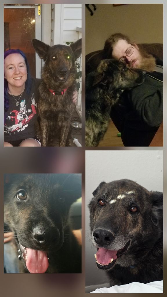 Grizzly Profile Photo