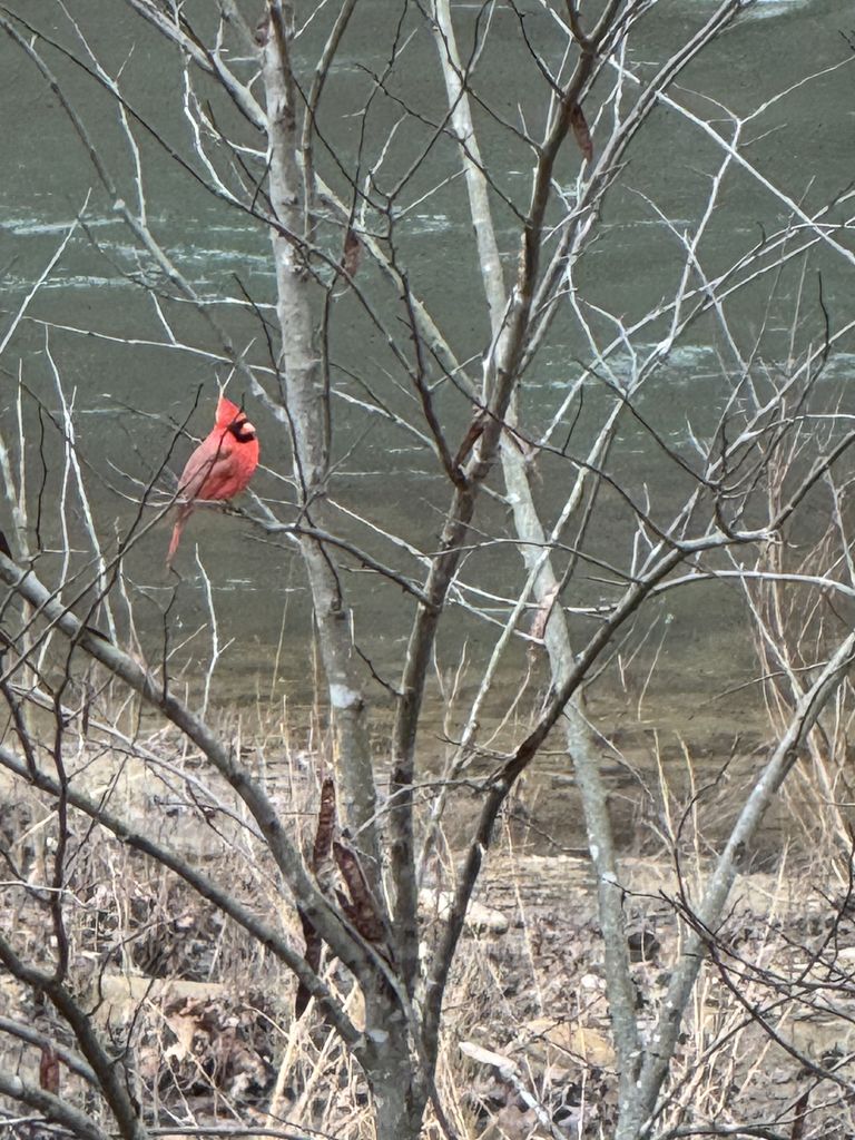 Betty Ann Anderson Profile Photo