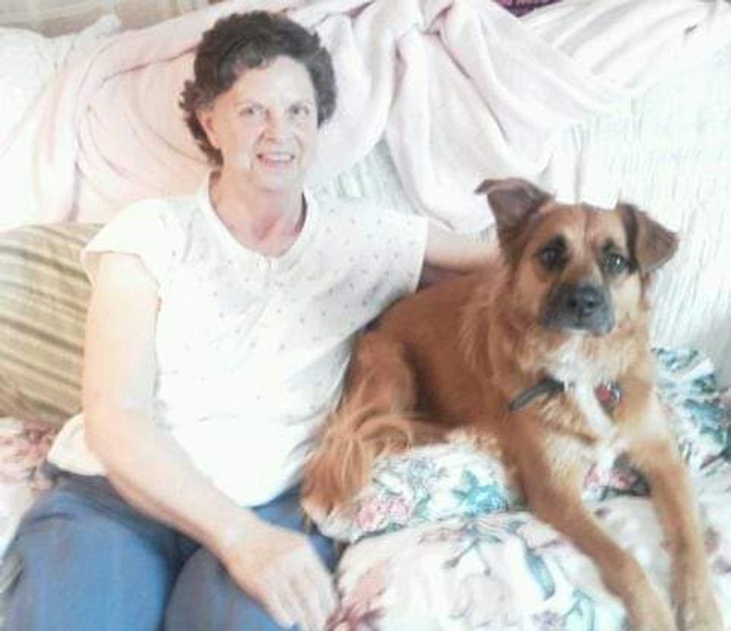 Sue B Gouge Profile Photo