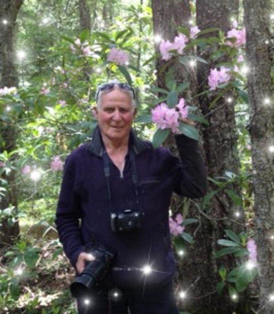 Bill Allen Profile Photo