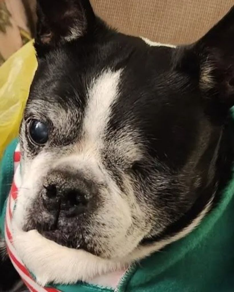 Buster Brown Profile Photo