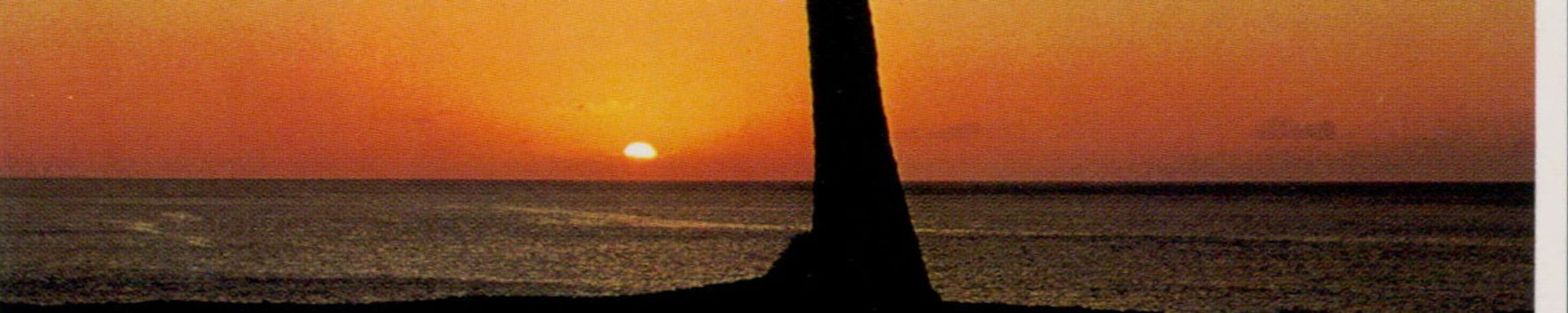 Cover photo for Barbra Eng's Obituary