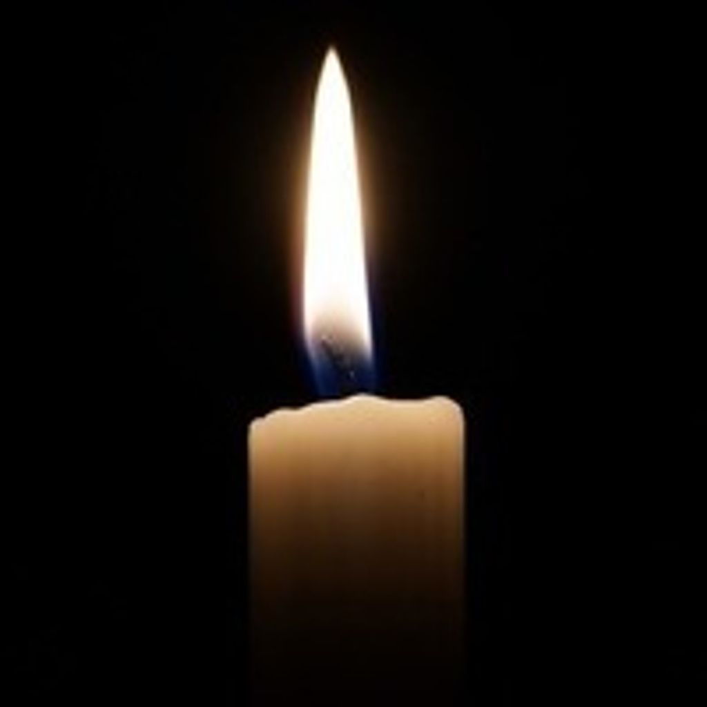 Phyllis M Elzer Profile Photo