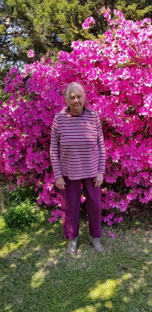 Tina Faye Young Profile Photo