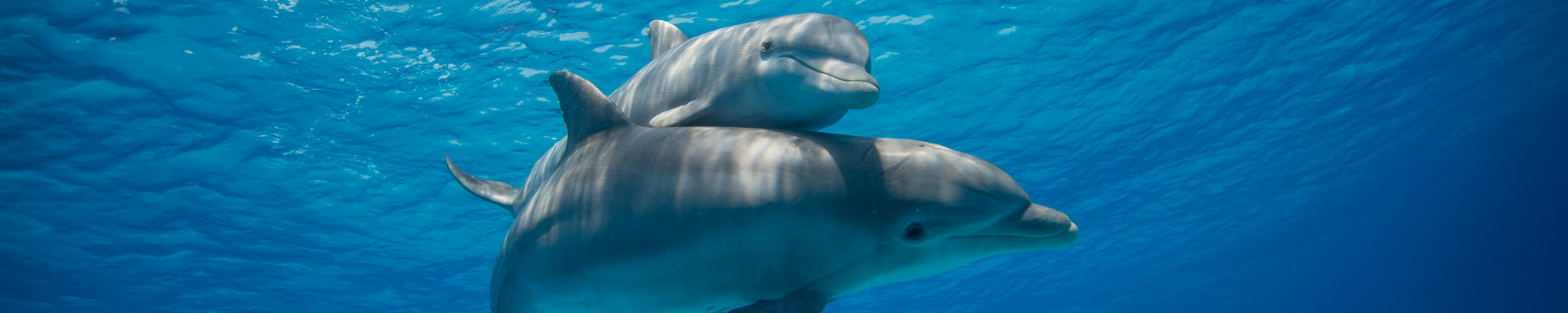 Cover for Leanne R. Asbell's Obituary