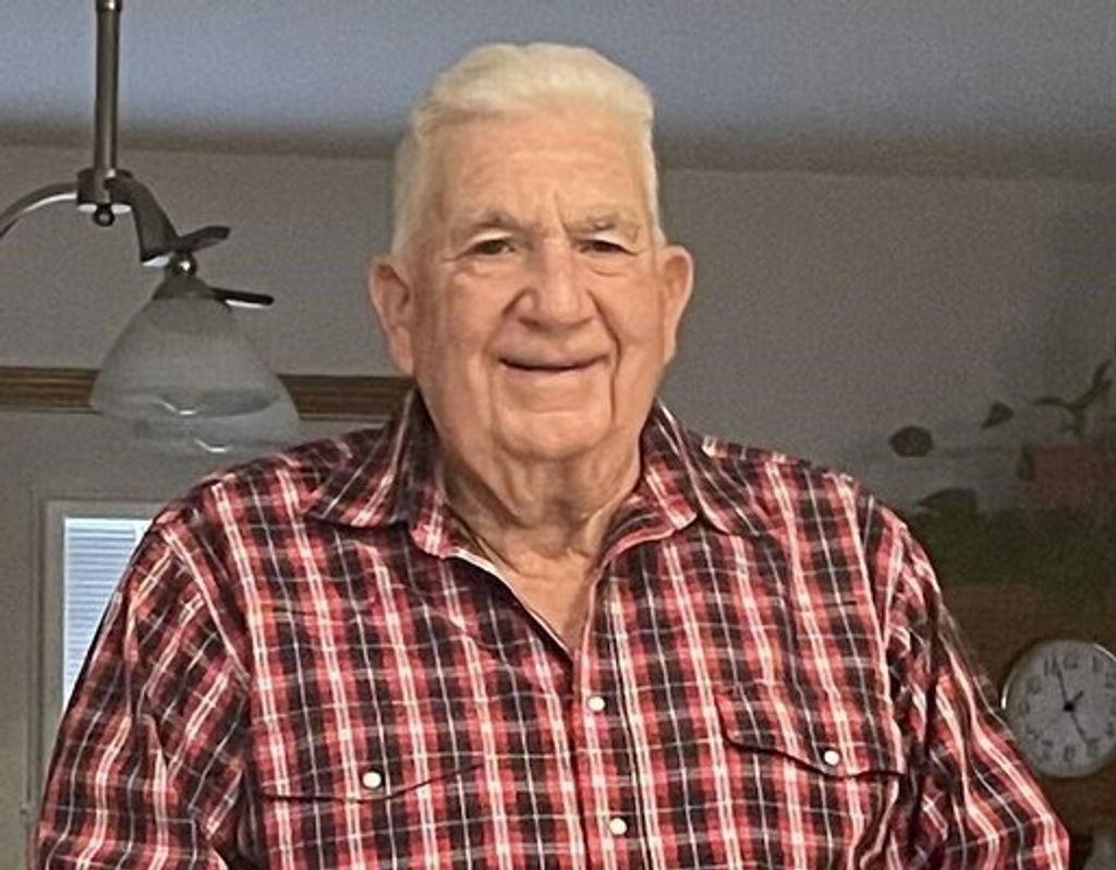 Stephen Dobbins Profile Photo