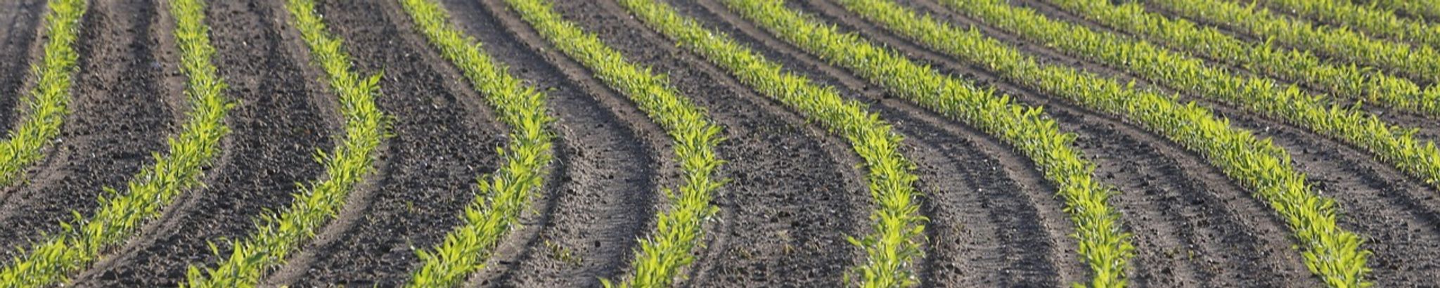 Cover for James W. Crosby's Obituary