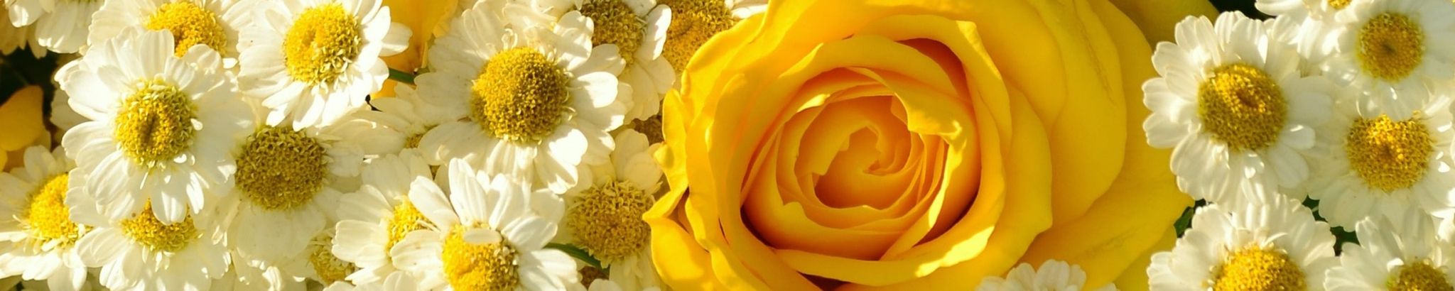Cover photo for Concepcion Labrado's Obituary