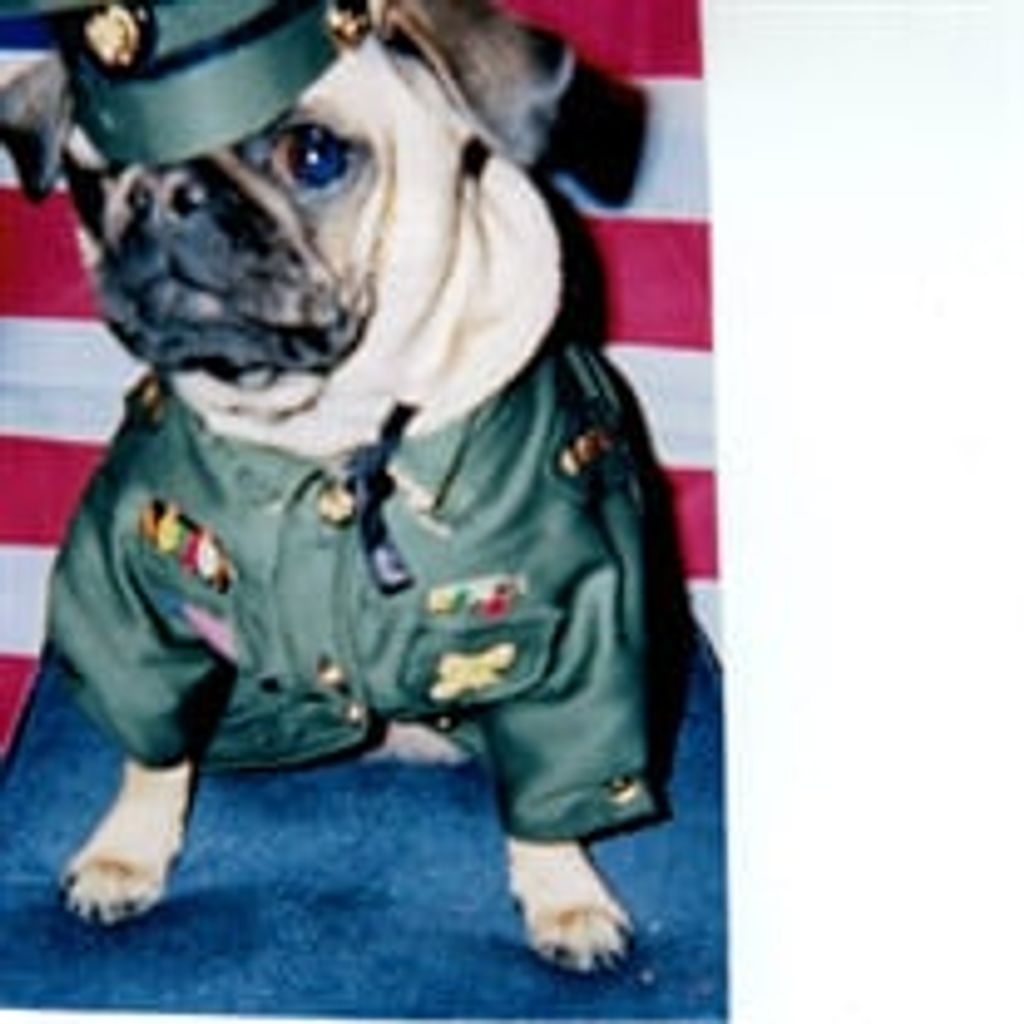 Uggy "Mommys Baby" Furey Profile Photo
