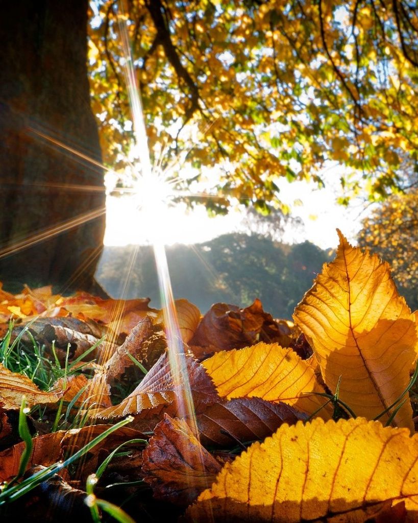 Howard Raymond Lawrence