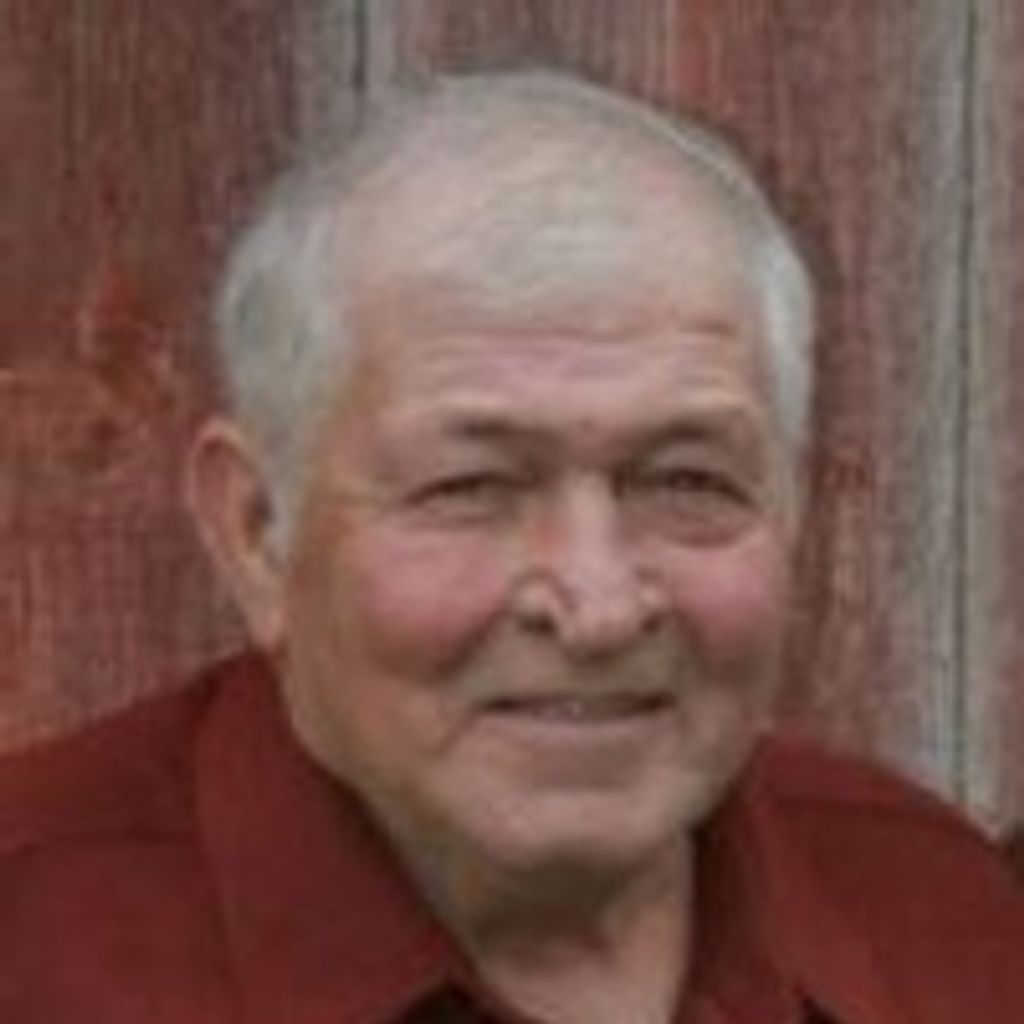 Donald Scheckel Profile Photo