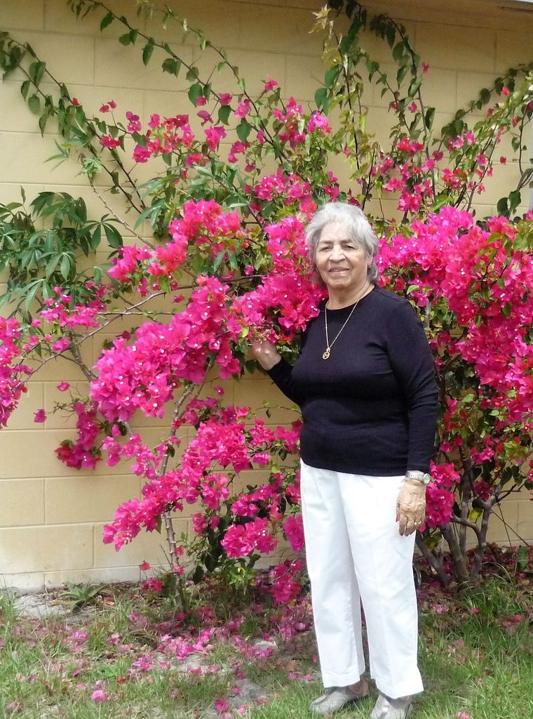 Maria E. Novoa