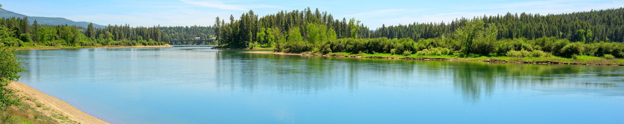 Cover for Lorrie Beach's Obituary