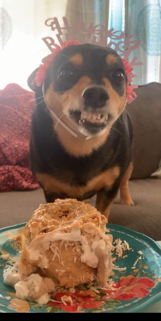 Abby Profile Photo