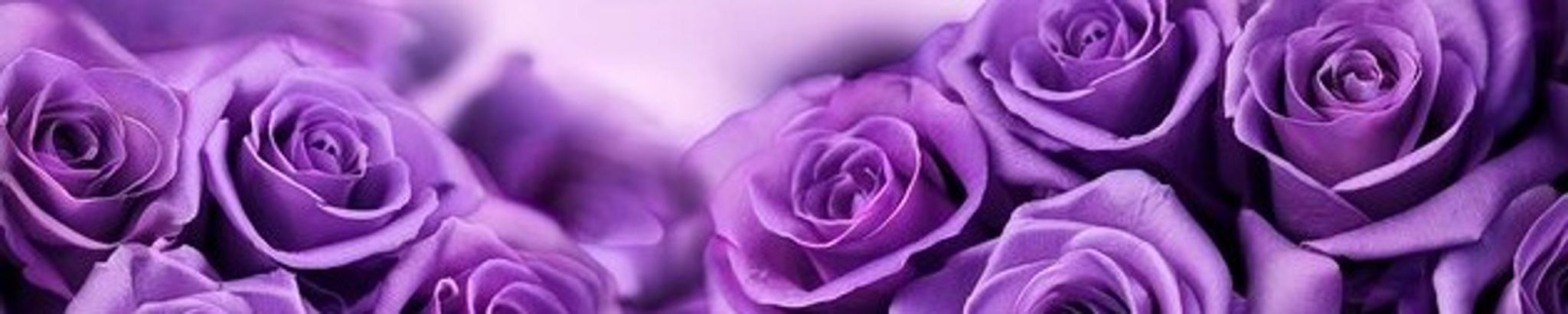 Cover for Melissa Marie Brown's Obituary