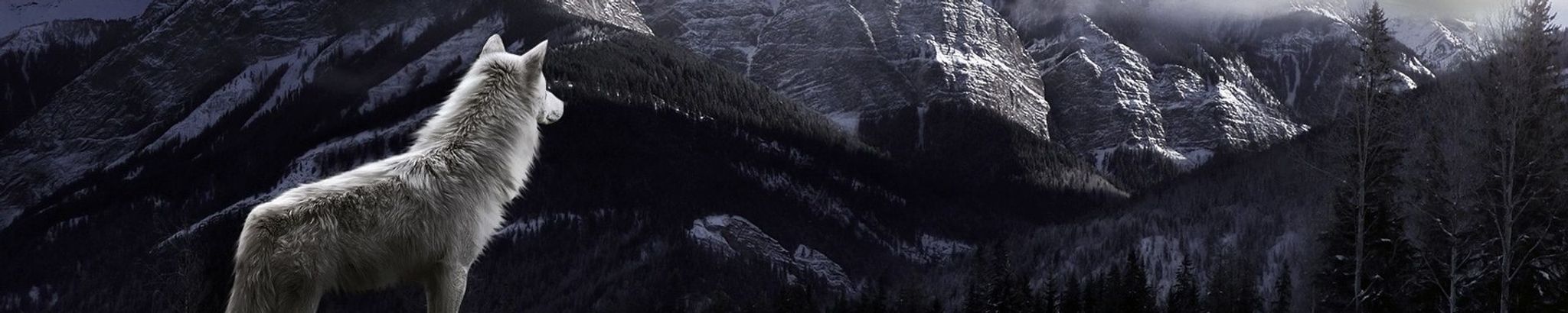 Cover for James Richard Pike's Obituary