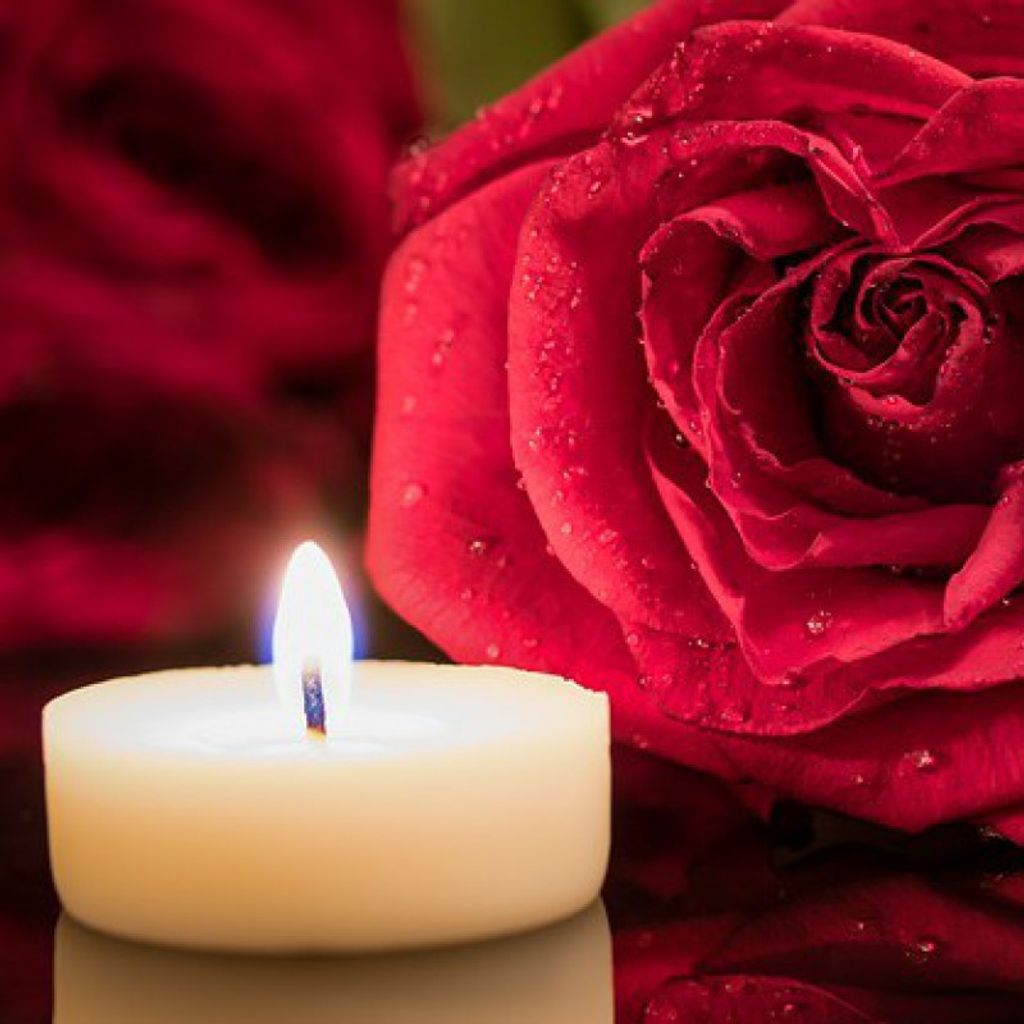 Ella Mae Bohrer Profile Photo