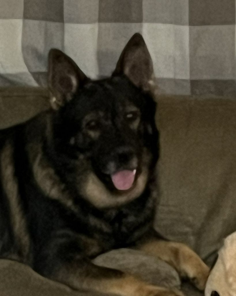 Atlas Graham Profile Photo