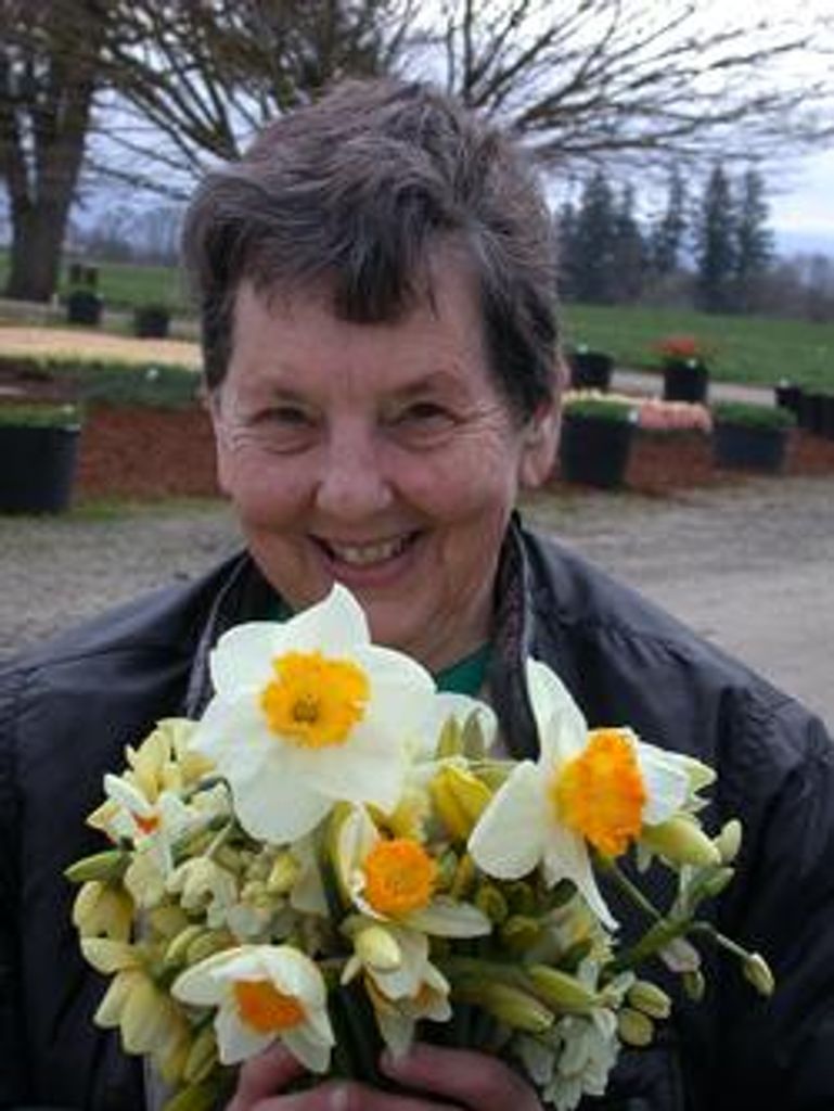 Dorothy Rose Iverson