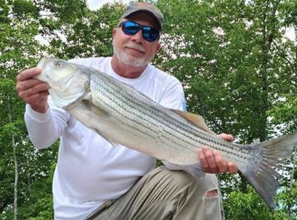 Mark Allen Daniels West Profile Photo