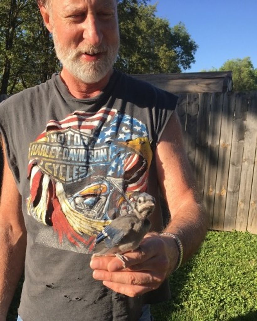 Stephen Edward Renn Profile Photo
