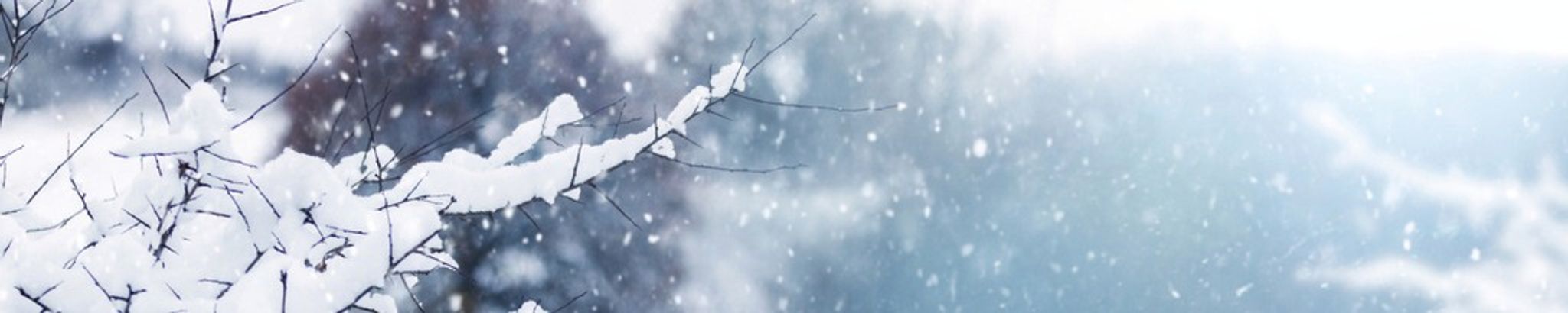 Cover for John W. Vanhoose, Sr.'s Obituary