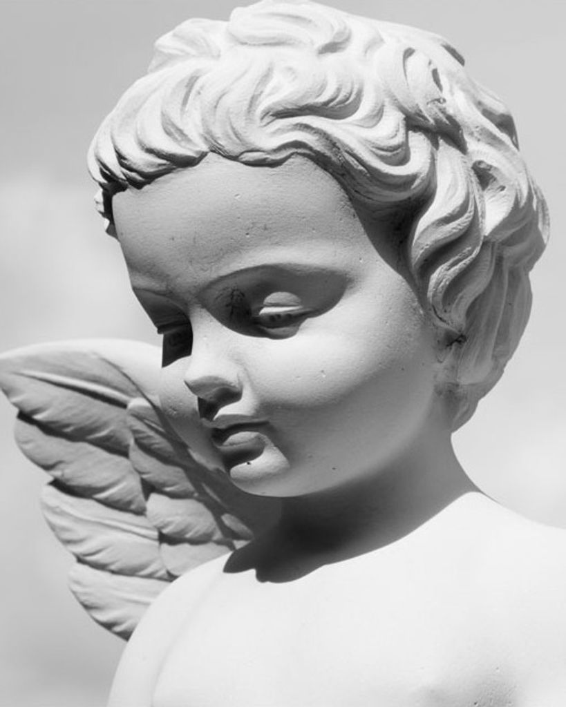 Andrew John Cormier Profile Photo