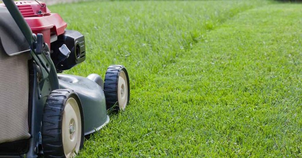 Mowing Notice Profile Photo