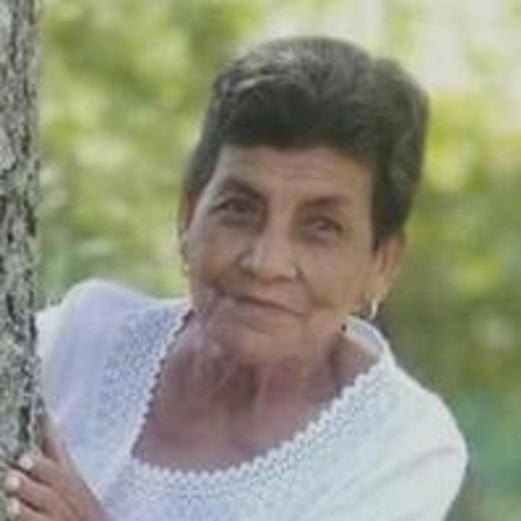 Mercedes H. Rodriguez Profile Photo