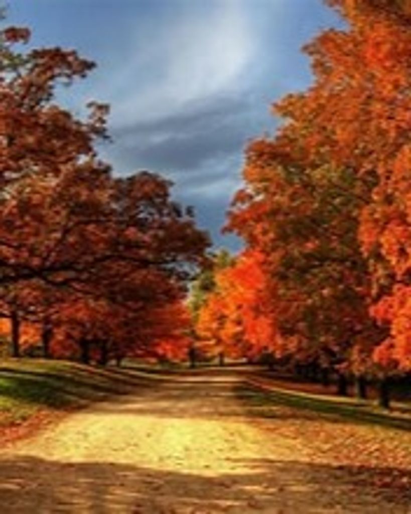 Thomas L. Henske Profile Photo