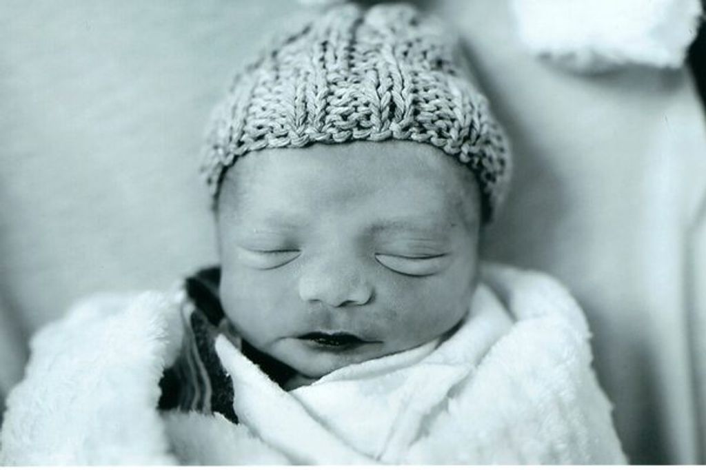 Lincoln David Shepherd