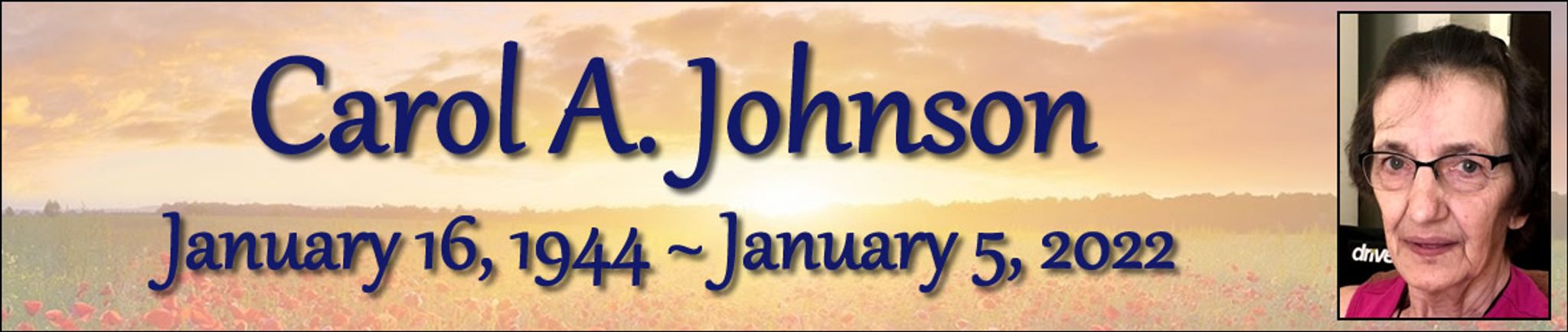 Cover photo for Carol Johnson's Obituary