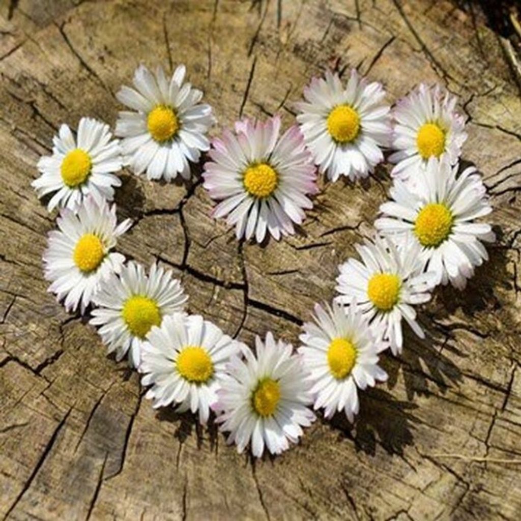 Catherine Young Profile Photo