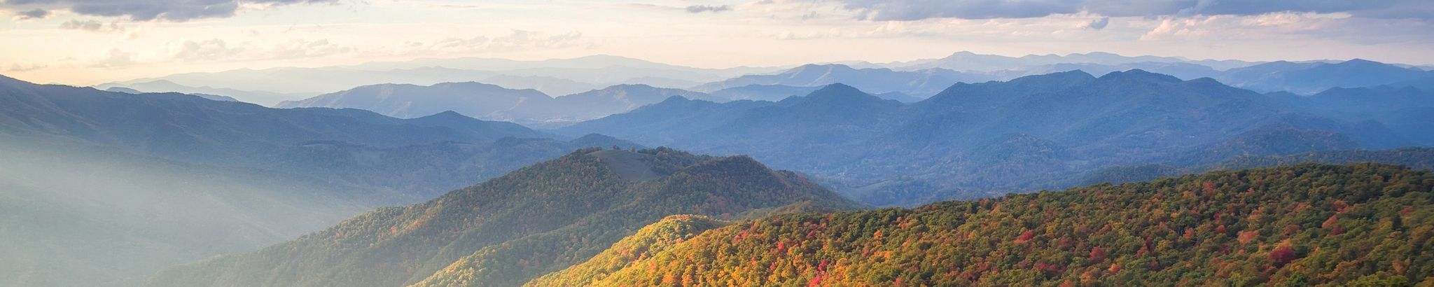 Cover for Carole Ann Keller's Obituary