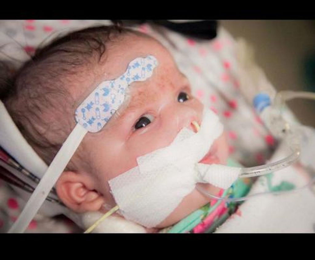 Ava Nicole Annalee Scott Profile Photo