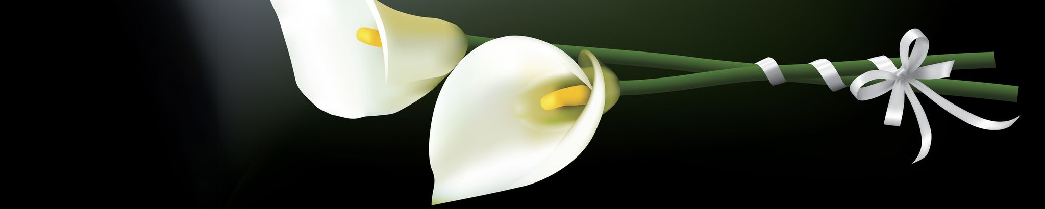 Cover for Betty A. Snovak's Obituary