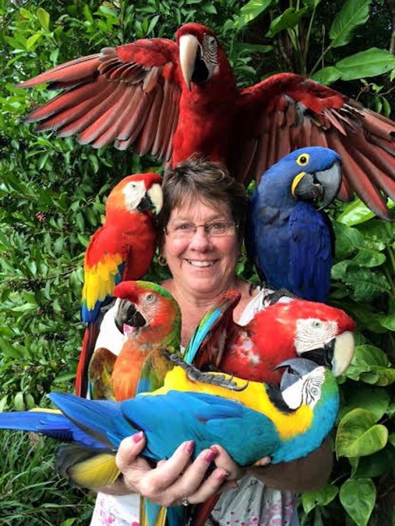 Nancy Harmon Profile Photo