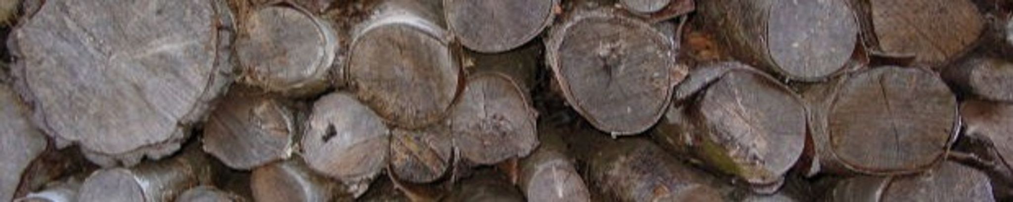 Cover for Harry F. Boucher's Obituary