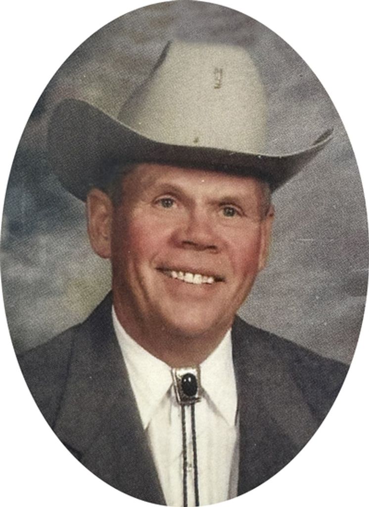 Mitchel Ellison Profile Photo