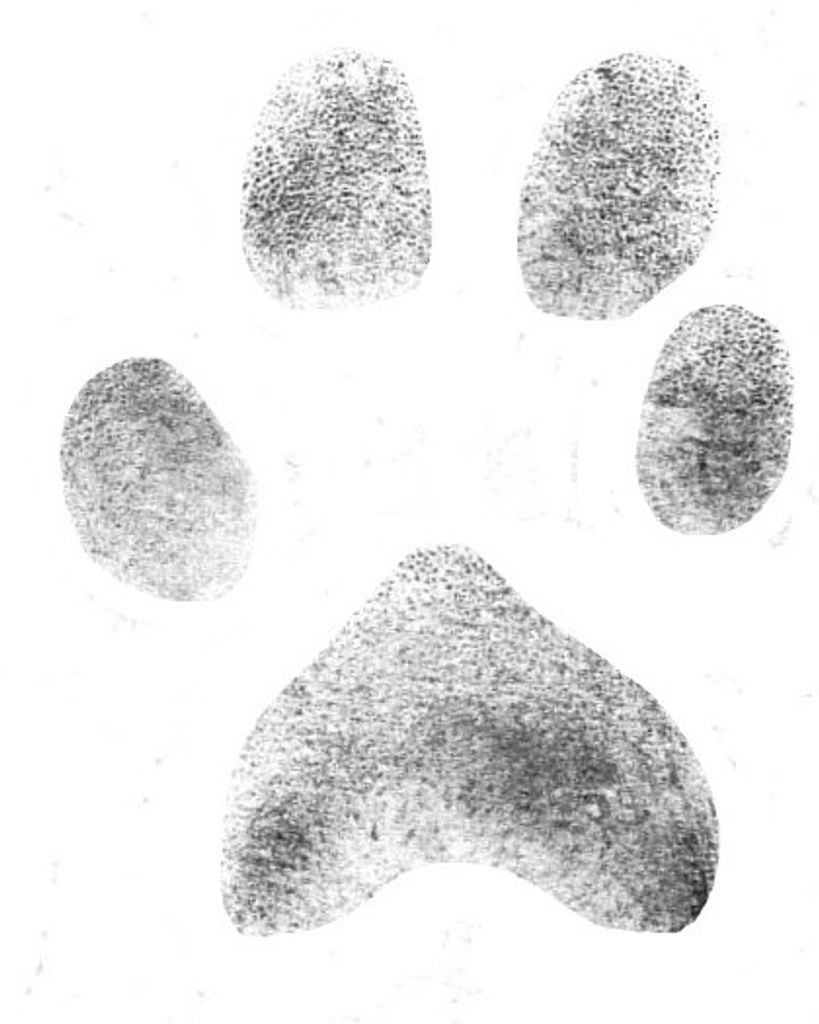 Maddox Whitner Profile Photo